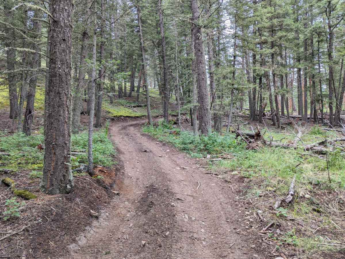 Ettien Ridge Connector photo 3