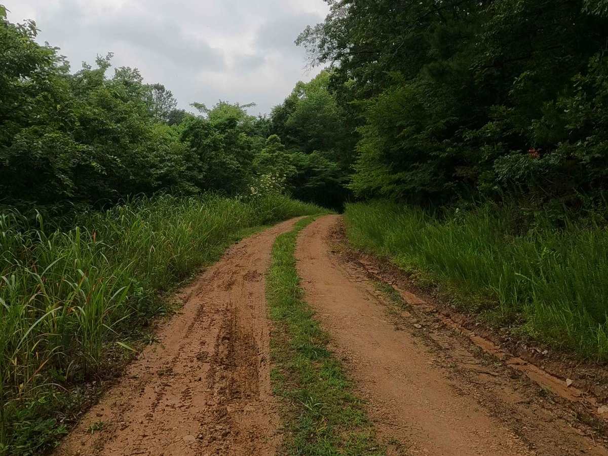 Fox Hollow Bottoms FSR 219 photo 5