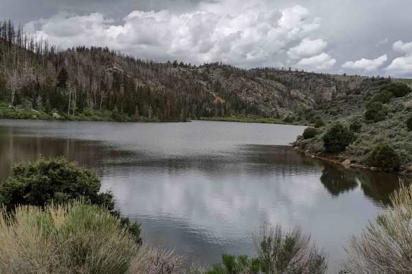 Lower Box Creek Reservoir (FS# 40159)