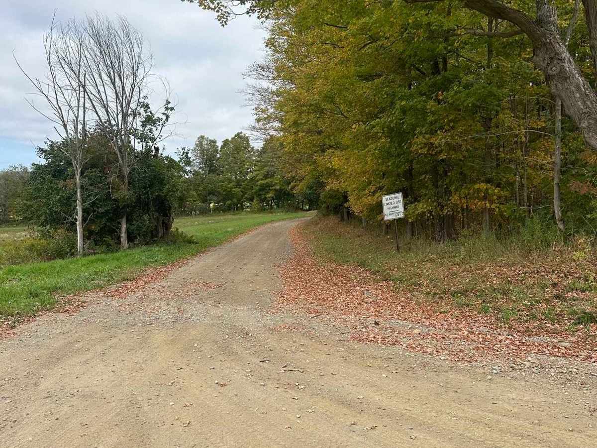 Sturdevant Road (Seasonal) trail photo