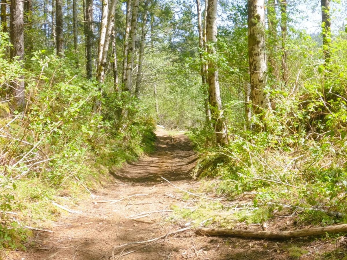 Zig Zag Trail trail photo