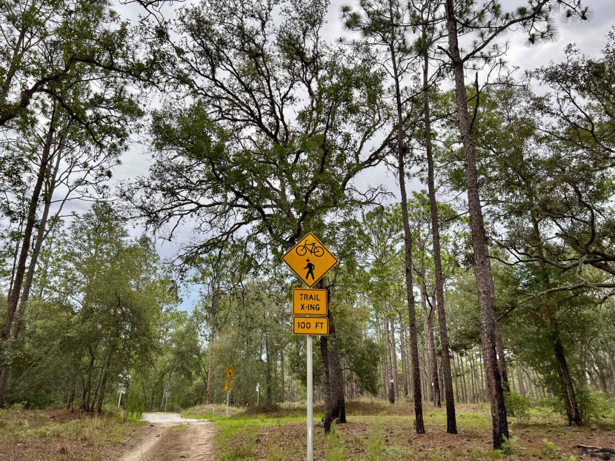 Crooms Wildlife Management | Trail 5 photo 2