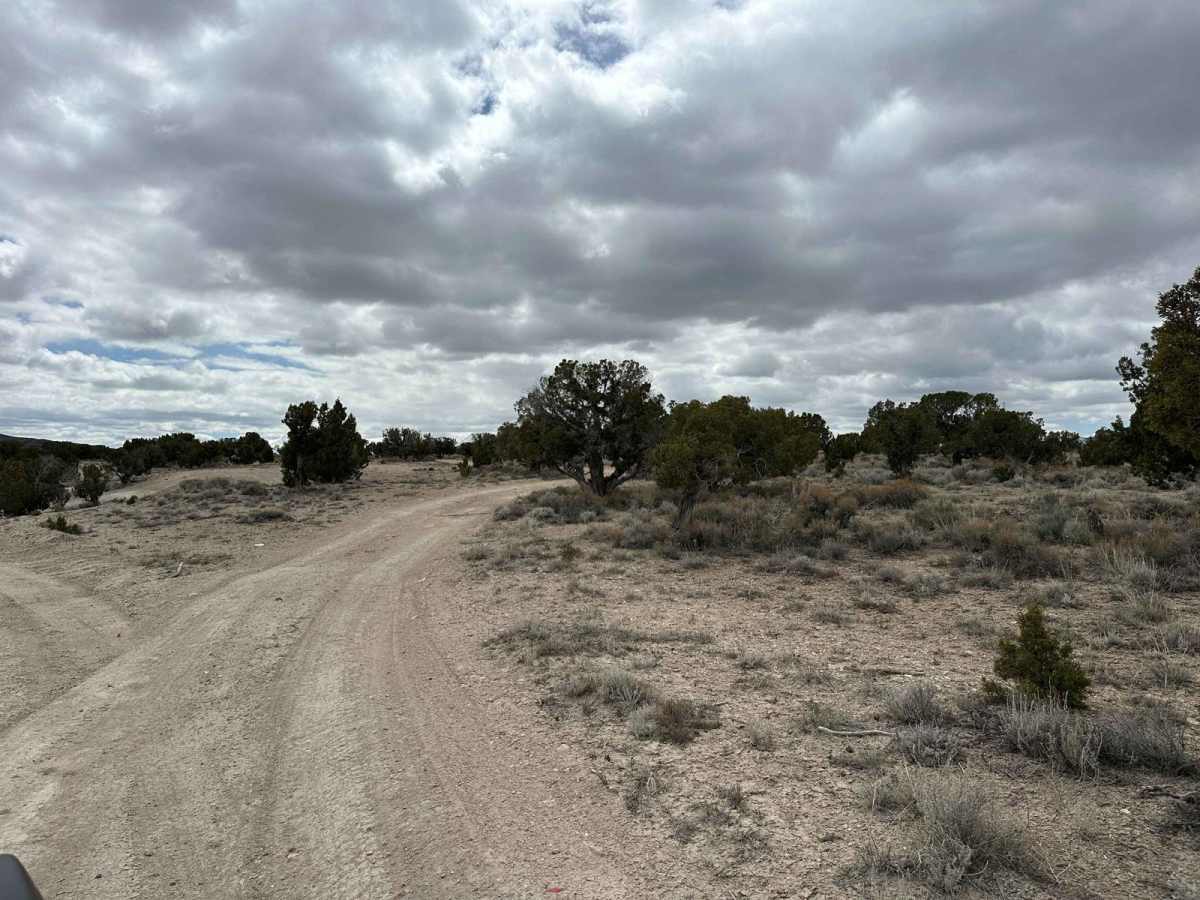 Desert Serenity trail photo