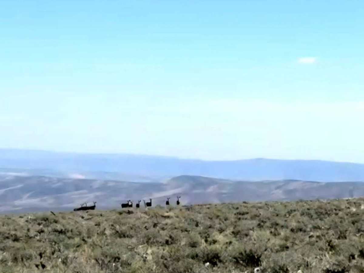 Brewton Gulch Road photo 3