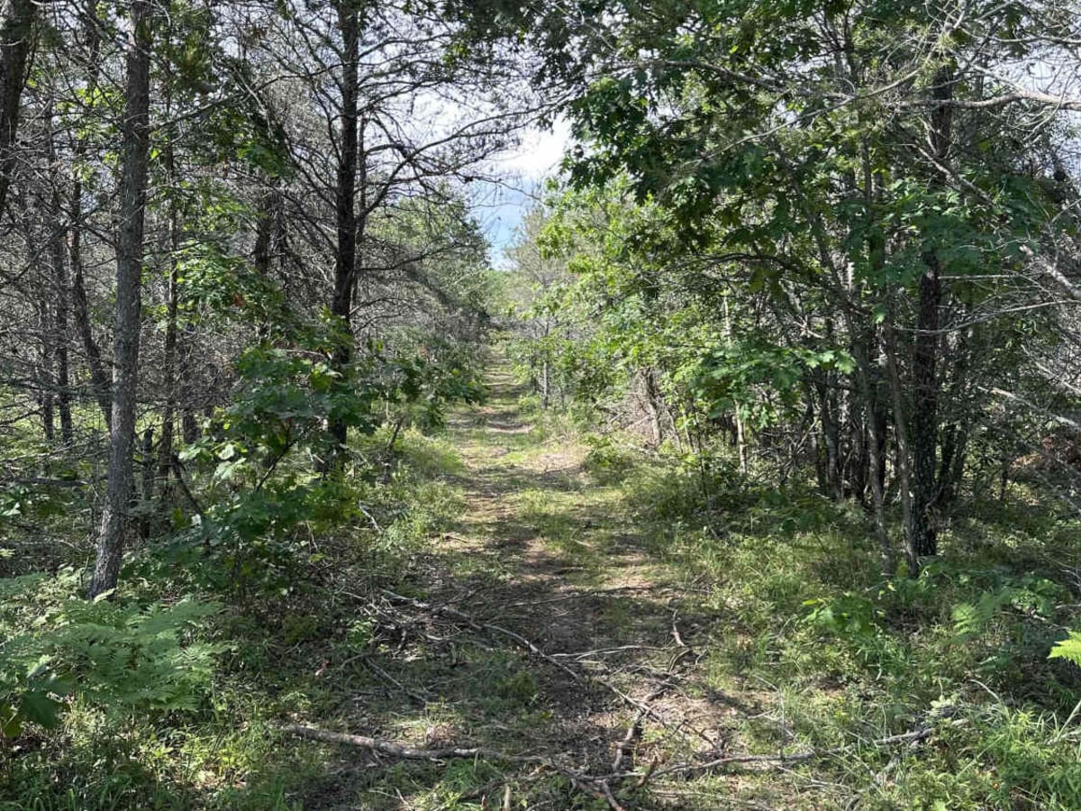 Spring Lake Spur trail photo