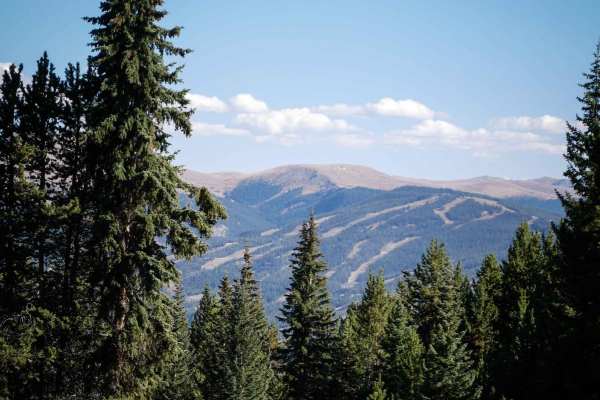 Middle Tenderfoot Mountain