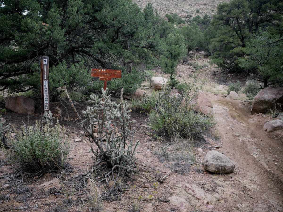 6035A ATV photo 3