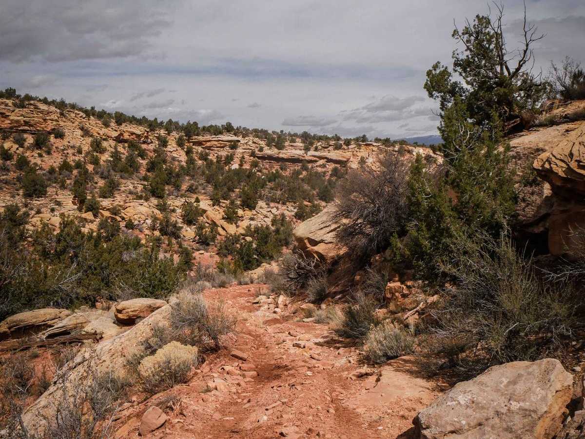 Shumway Mines photo 2