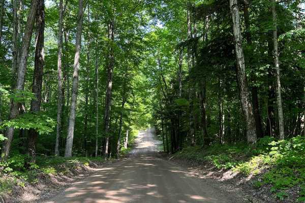 Trail 48466