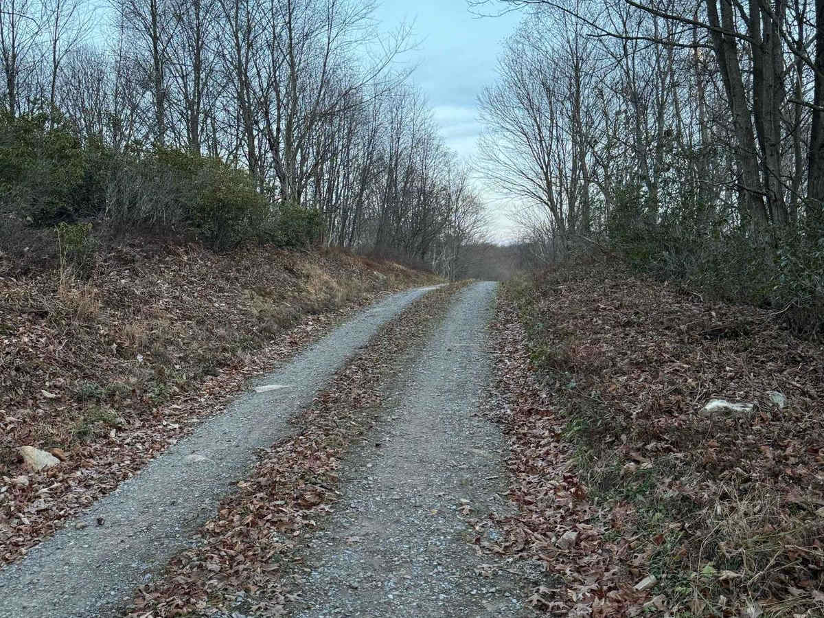 Jews Run Road photo 5