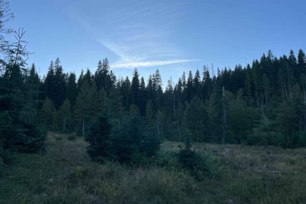 Moose Creek Spur