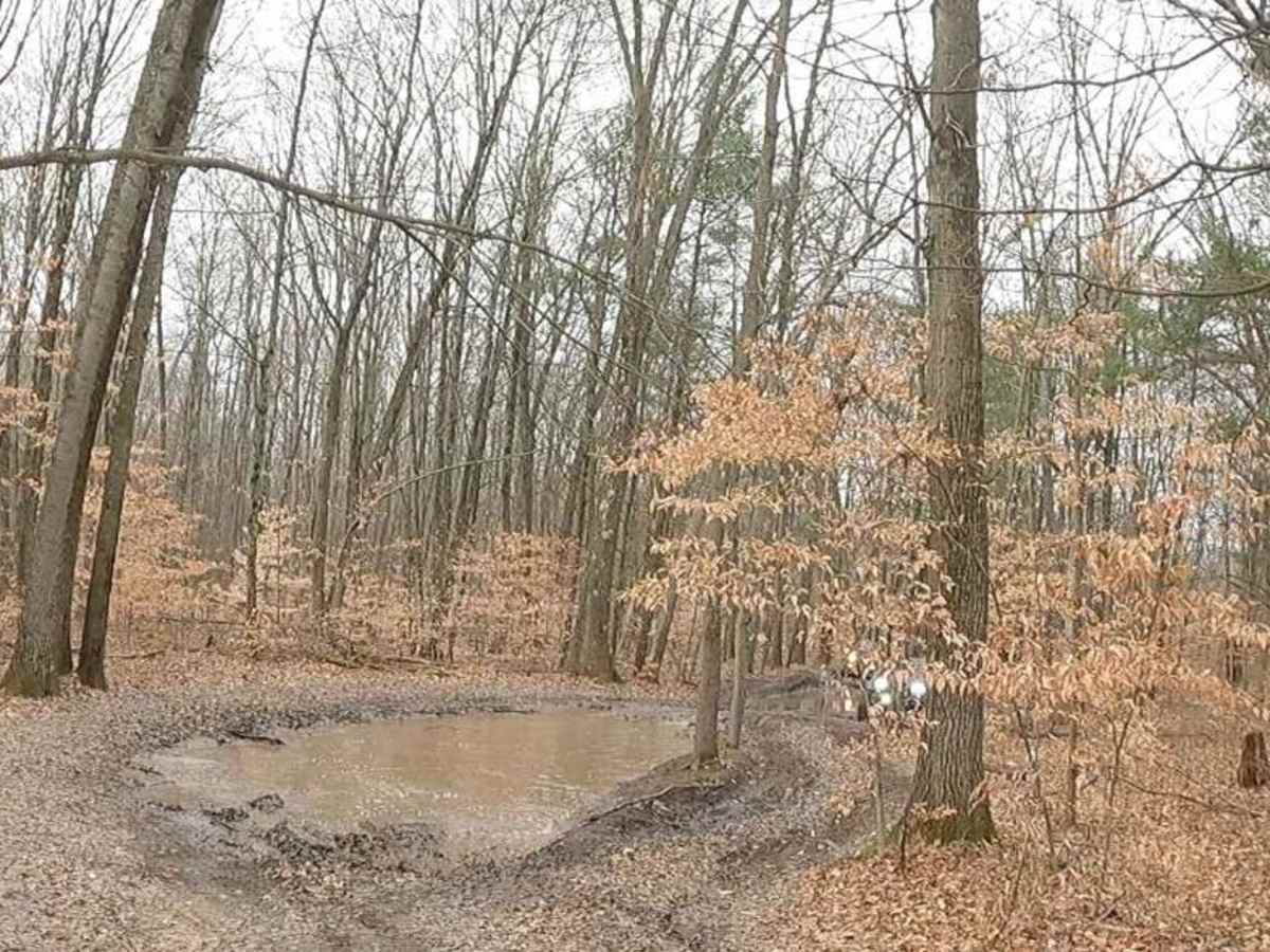3 Mud Holes photo 3