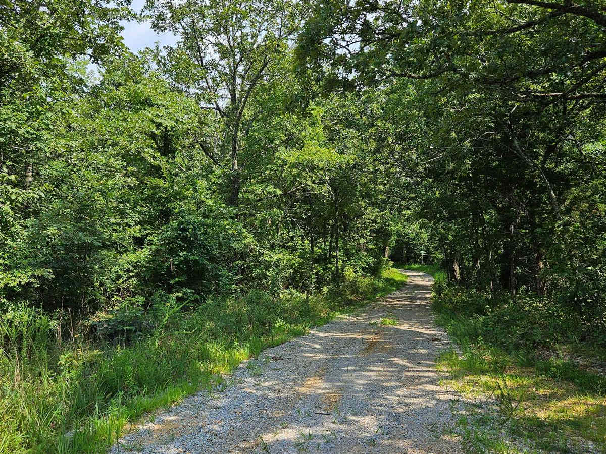 Camp Roy - FSR 3208 photo 2
