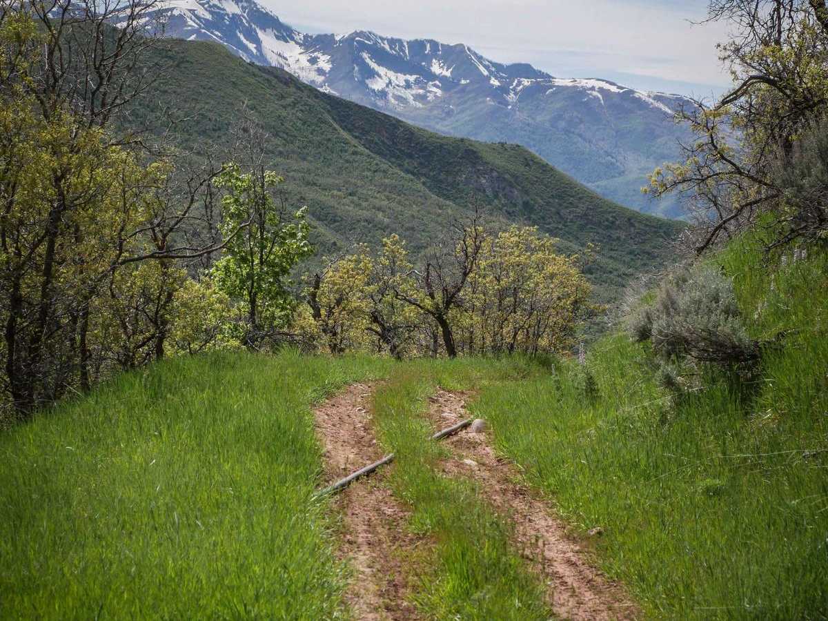 Long Hollow ATV trail photo