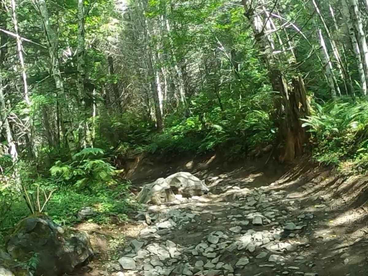 Sunrise Trail photo 6