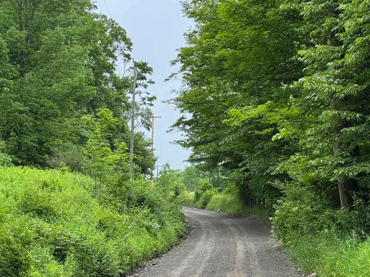 Readburn Road trail photo