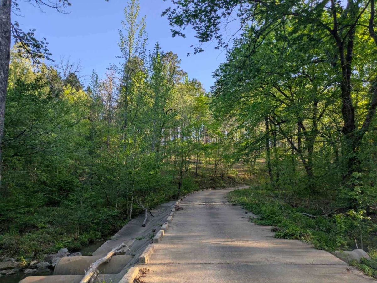 Denton Creek Road photo 4