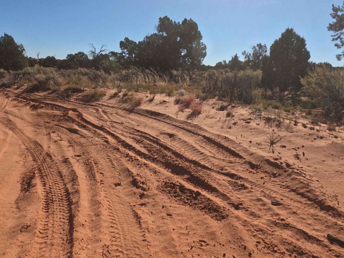 Ladder Reservoir Road (1080) photo 6