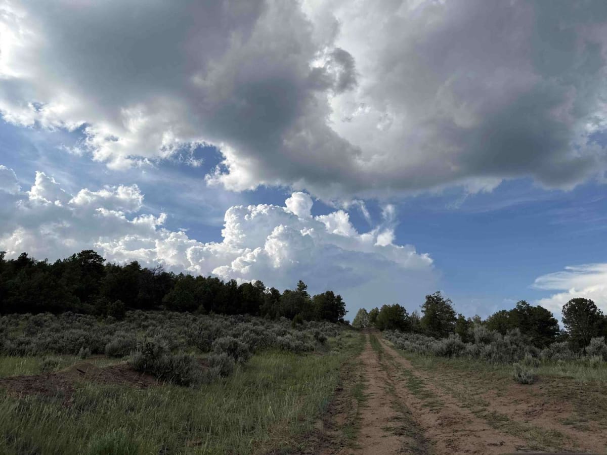 American Canyon - FSR 310 photo 6