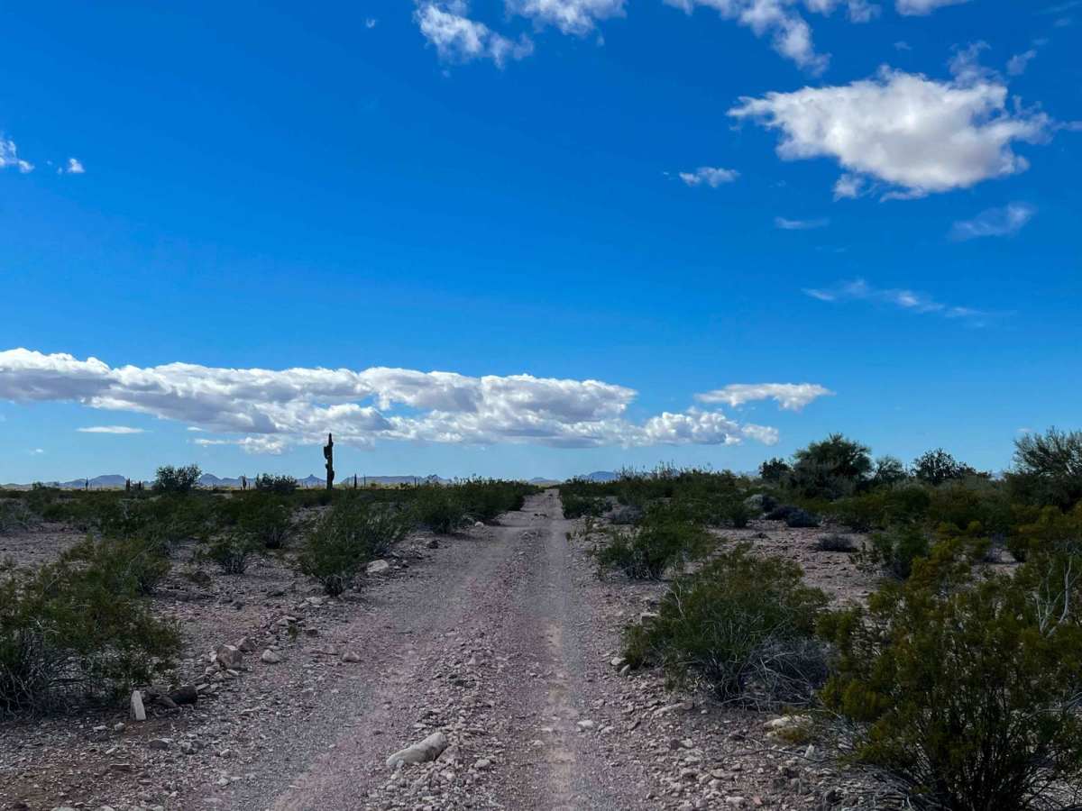 Route 012 photo 6