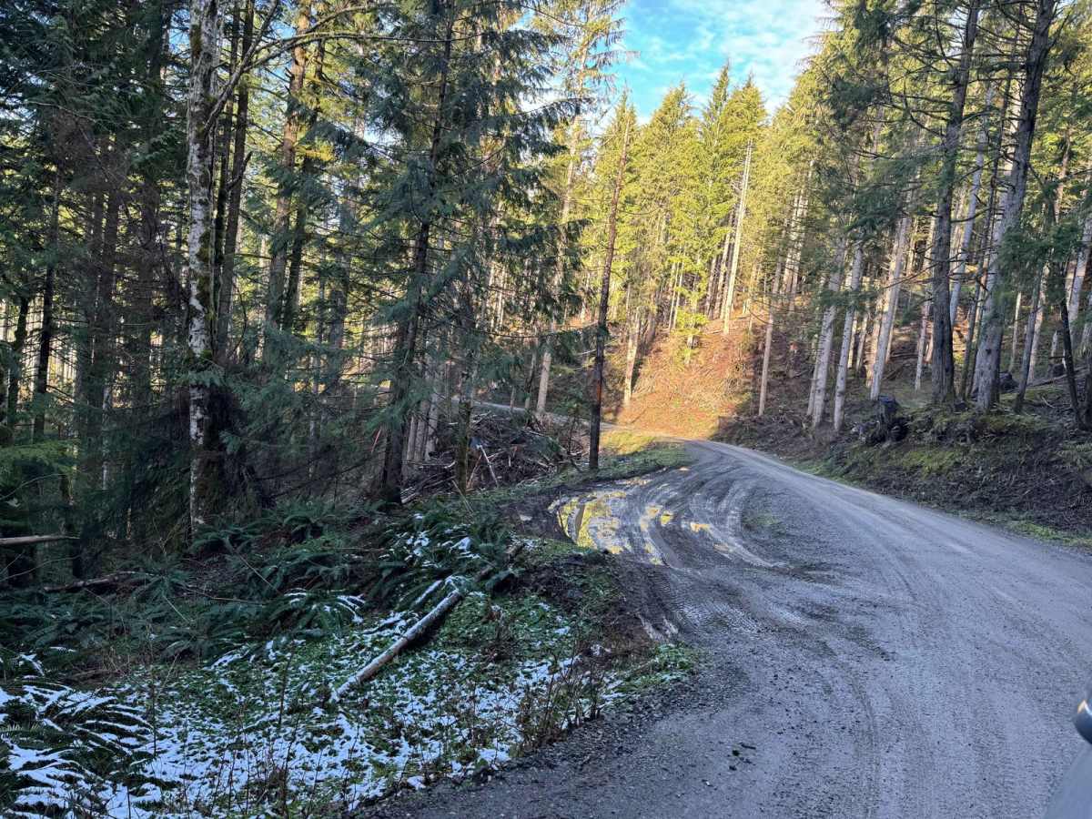Green Mountain Road/NF-011 photo 2