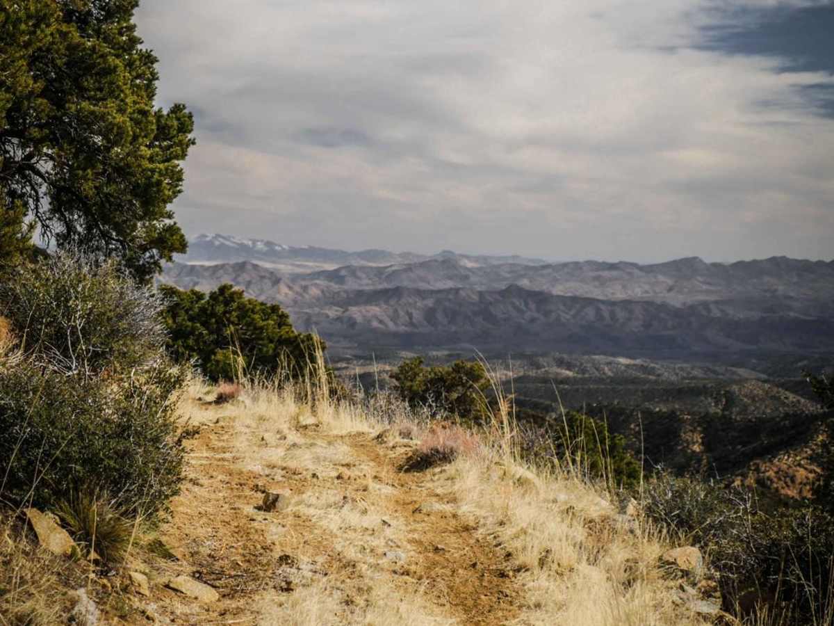 ATV 7178 photo 5