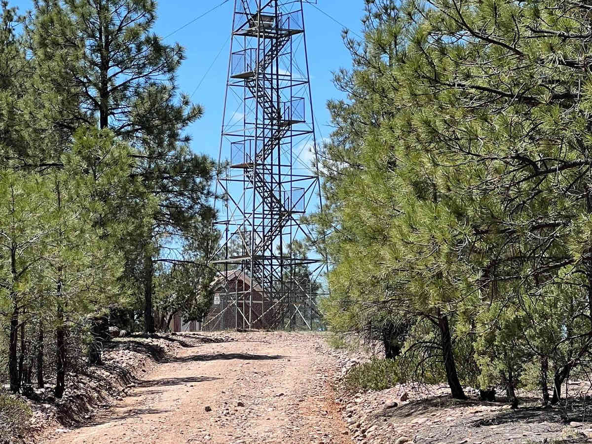 FS 161 West Fork trail photo