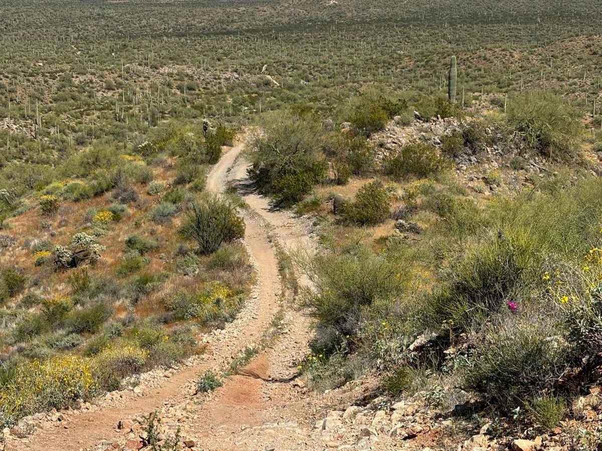 North Picacho Mountain Pass photo 4