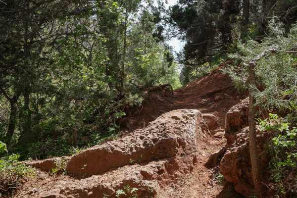 Jocks Canyon