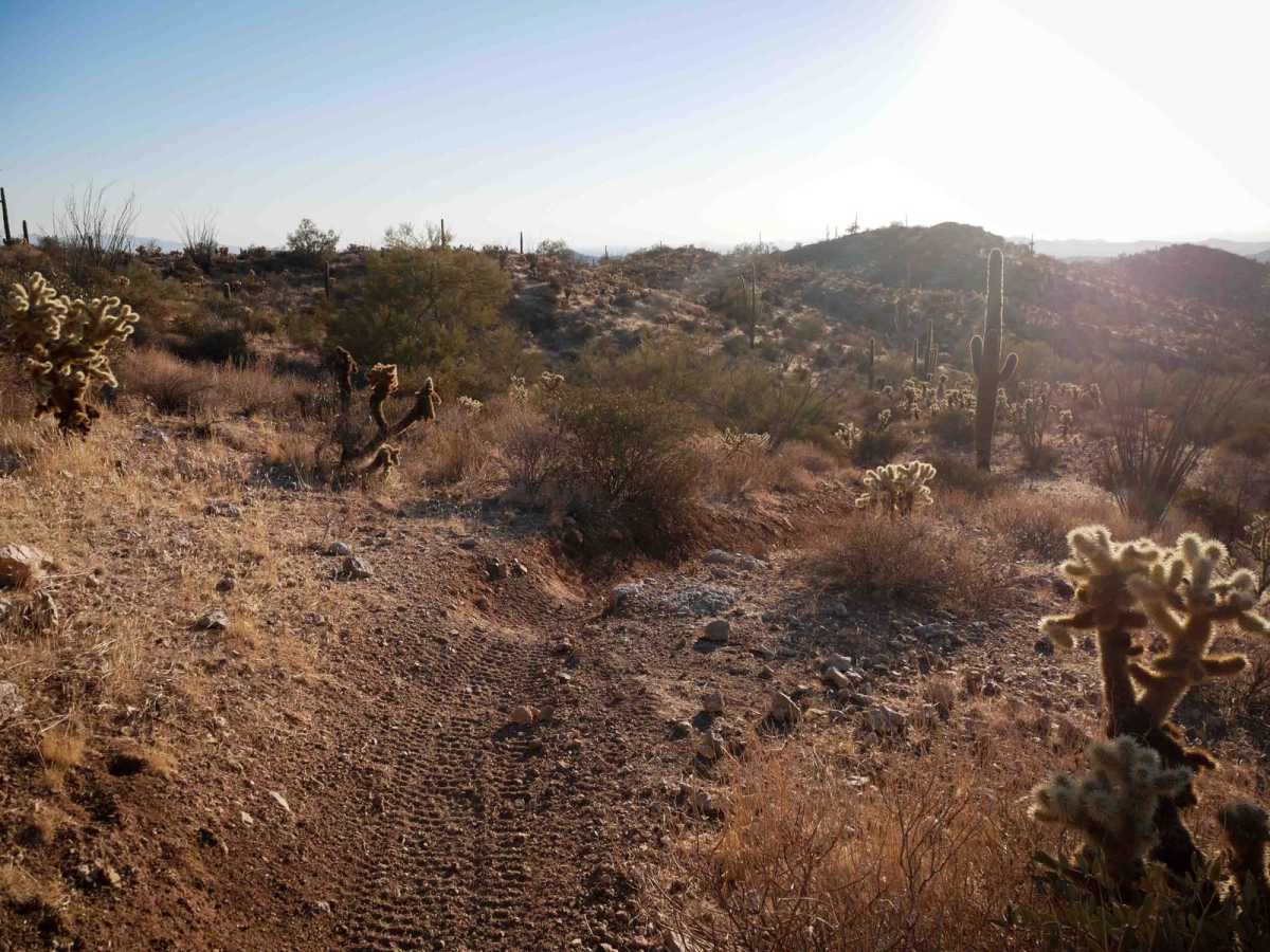 North Castle Singletrack photo 4