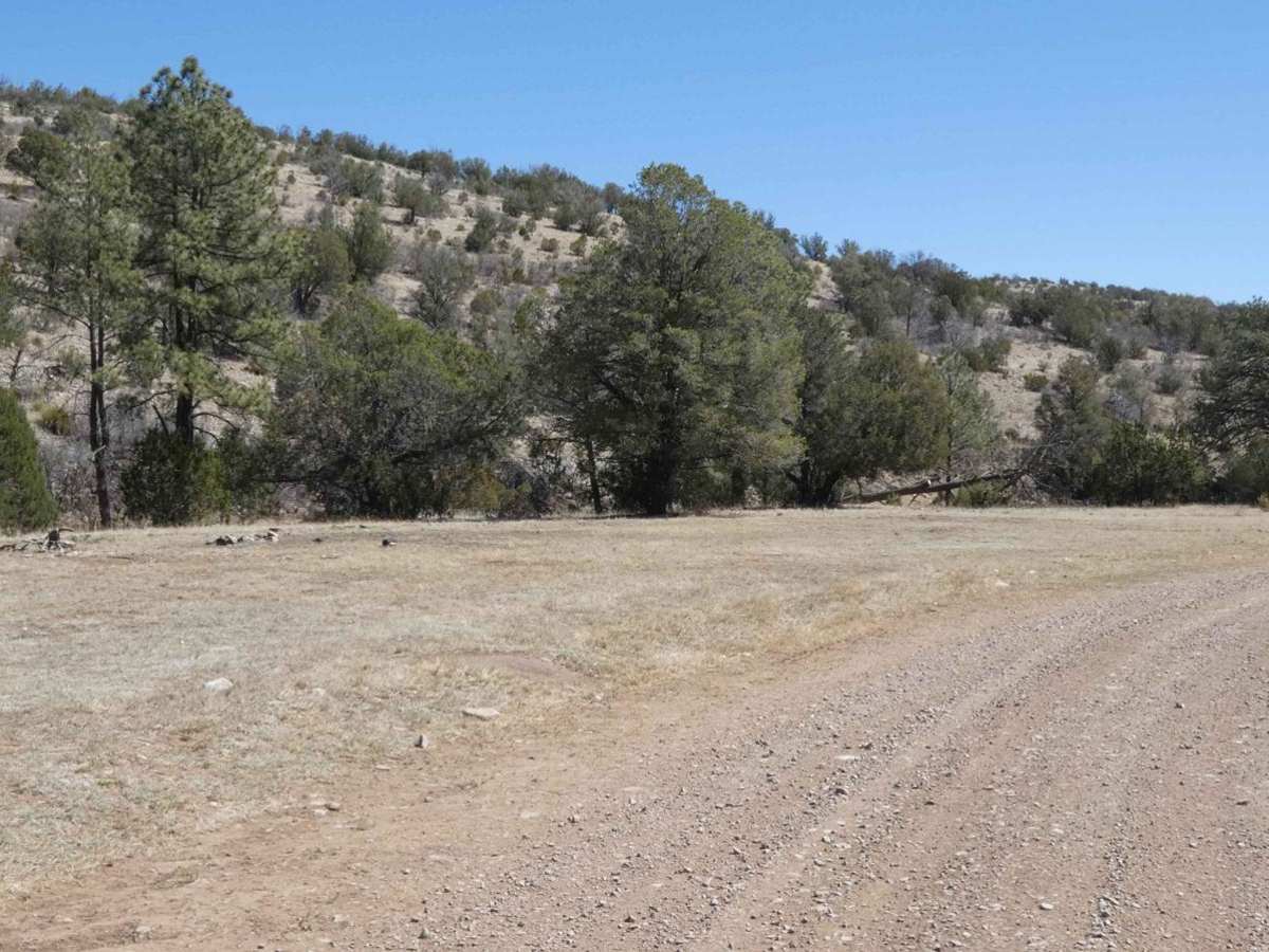 Dog Canyon photo 4