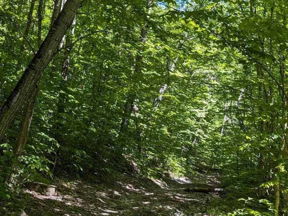 Flat Top Hard Line trail photo