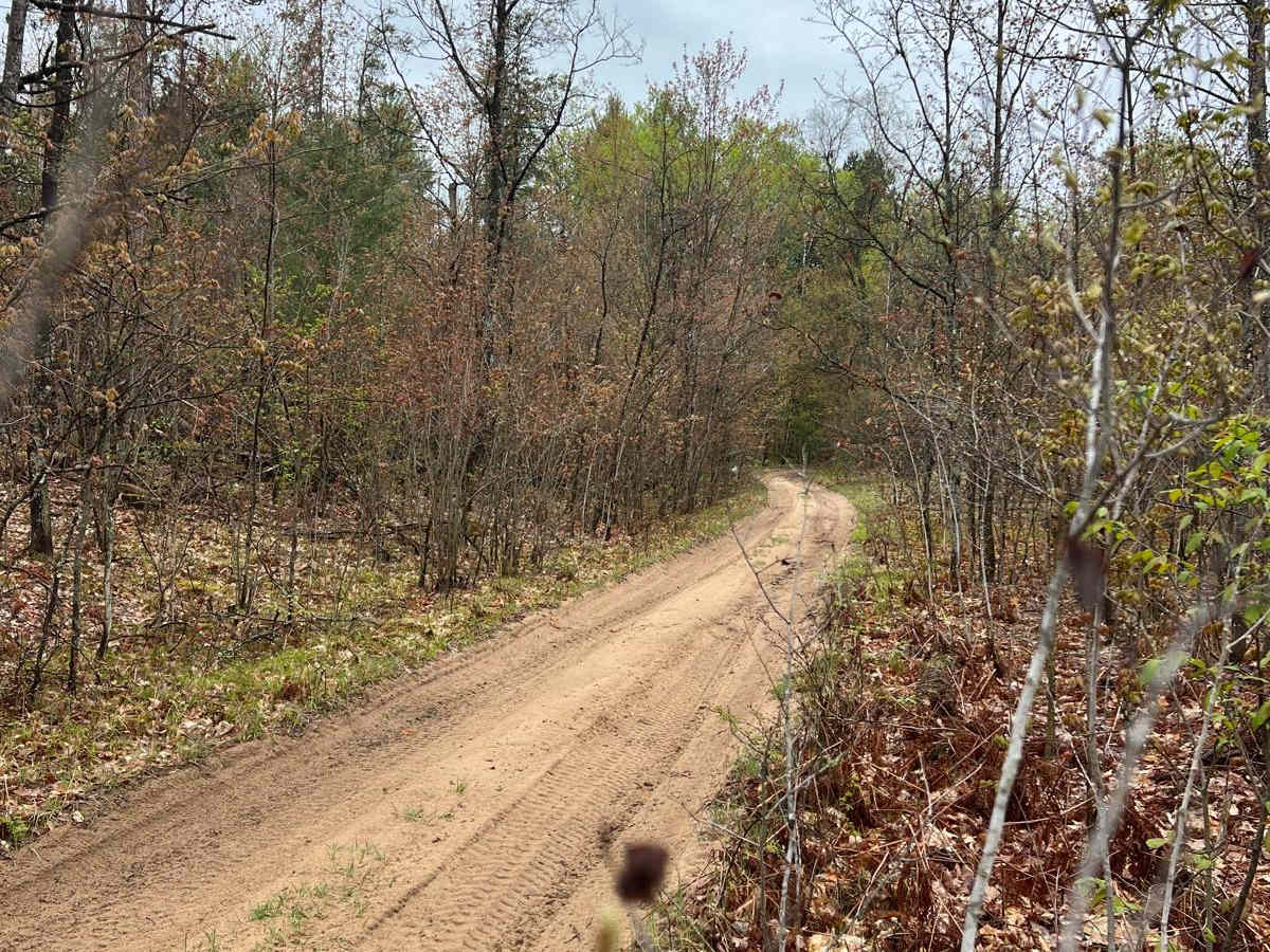 No. 10 Road Trail photo 6