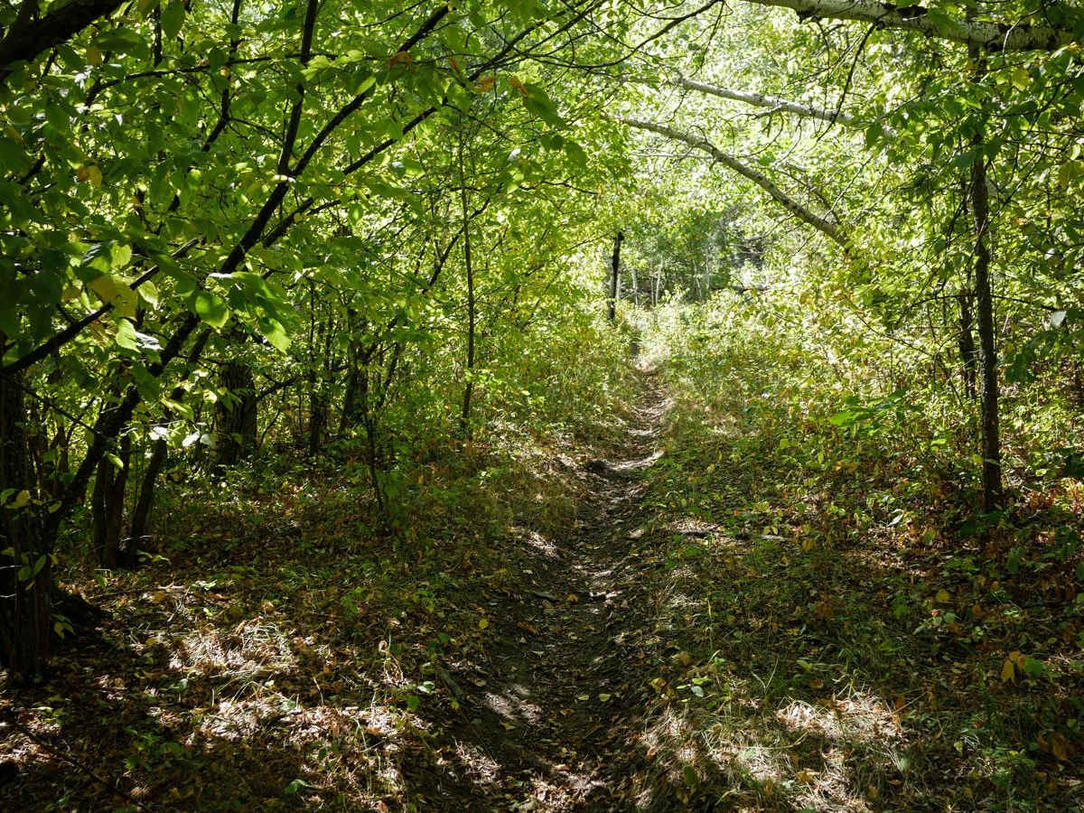 Victoria 10 trail photo