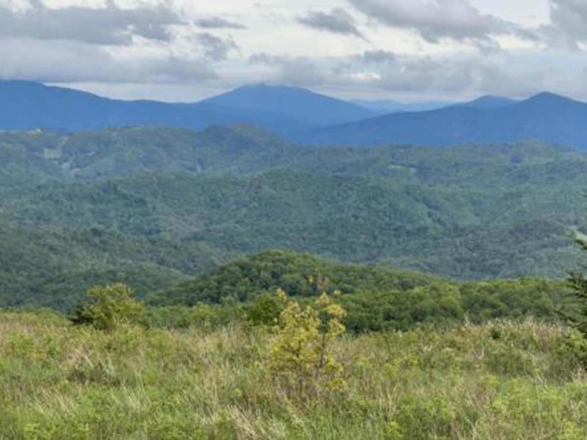 Pond Mountain Game Land Access Road photo 5