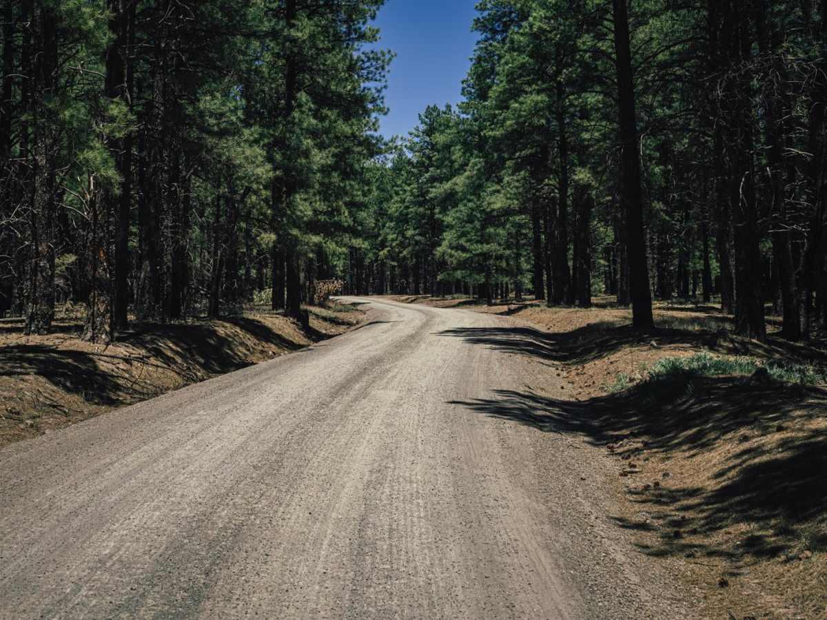 Frenchy Springs Road photo 4