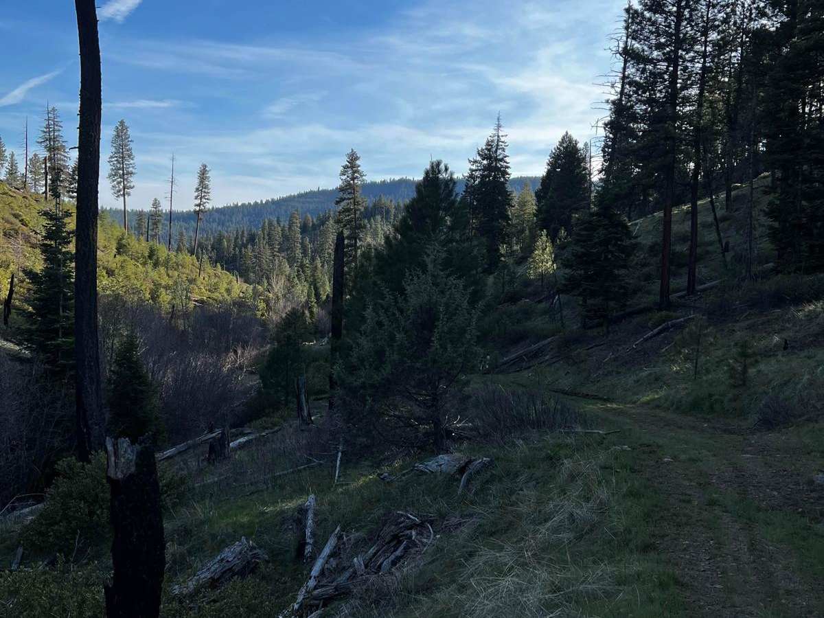 Lower McKay Creek Road to West Fork Mill Creek Road photo 3