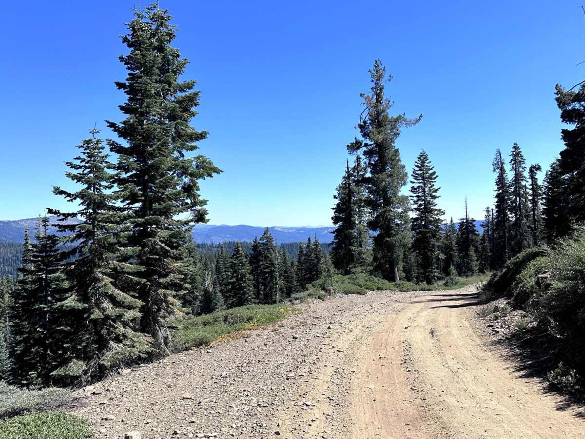 Texas Hill Road photo 4