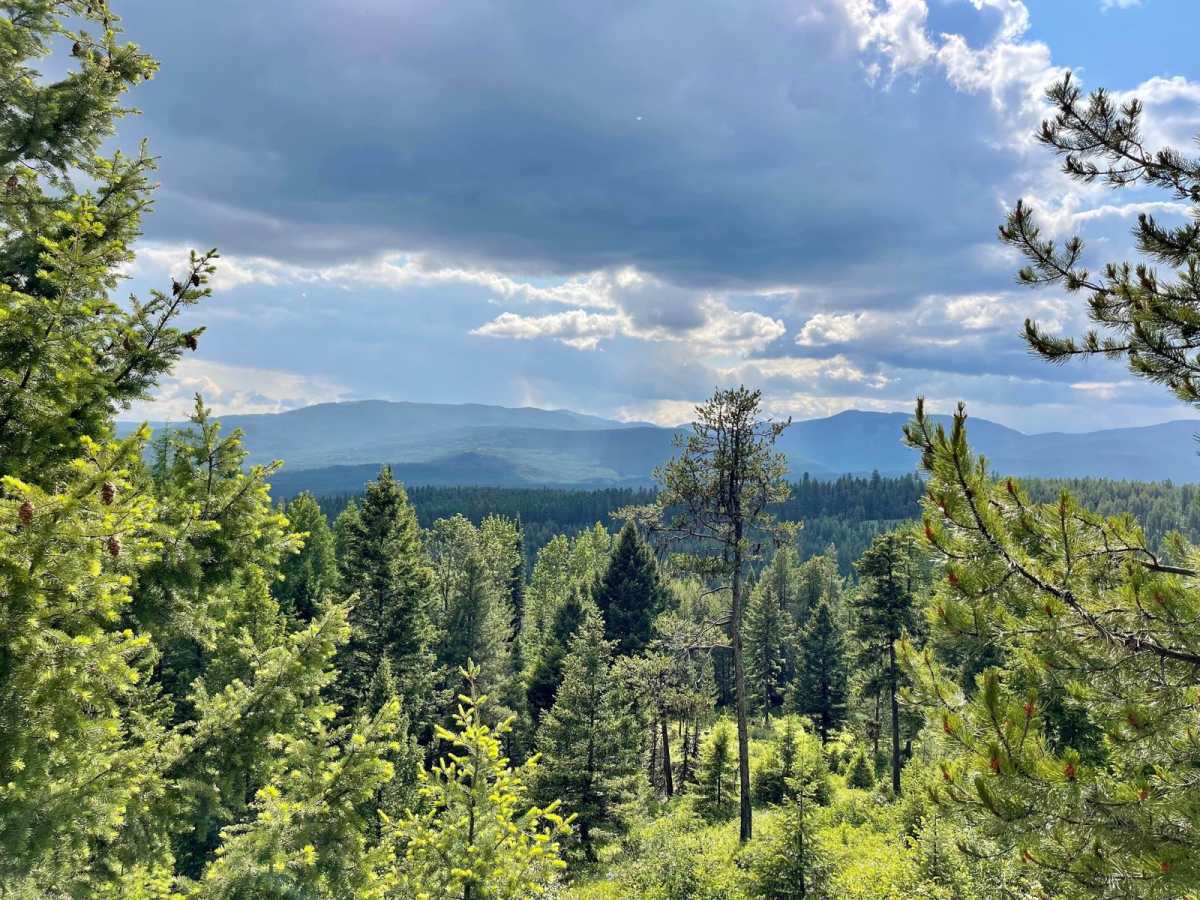 Camp Creek trail photo