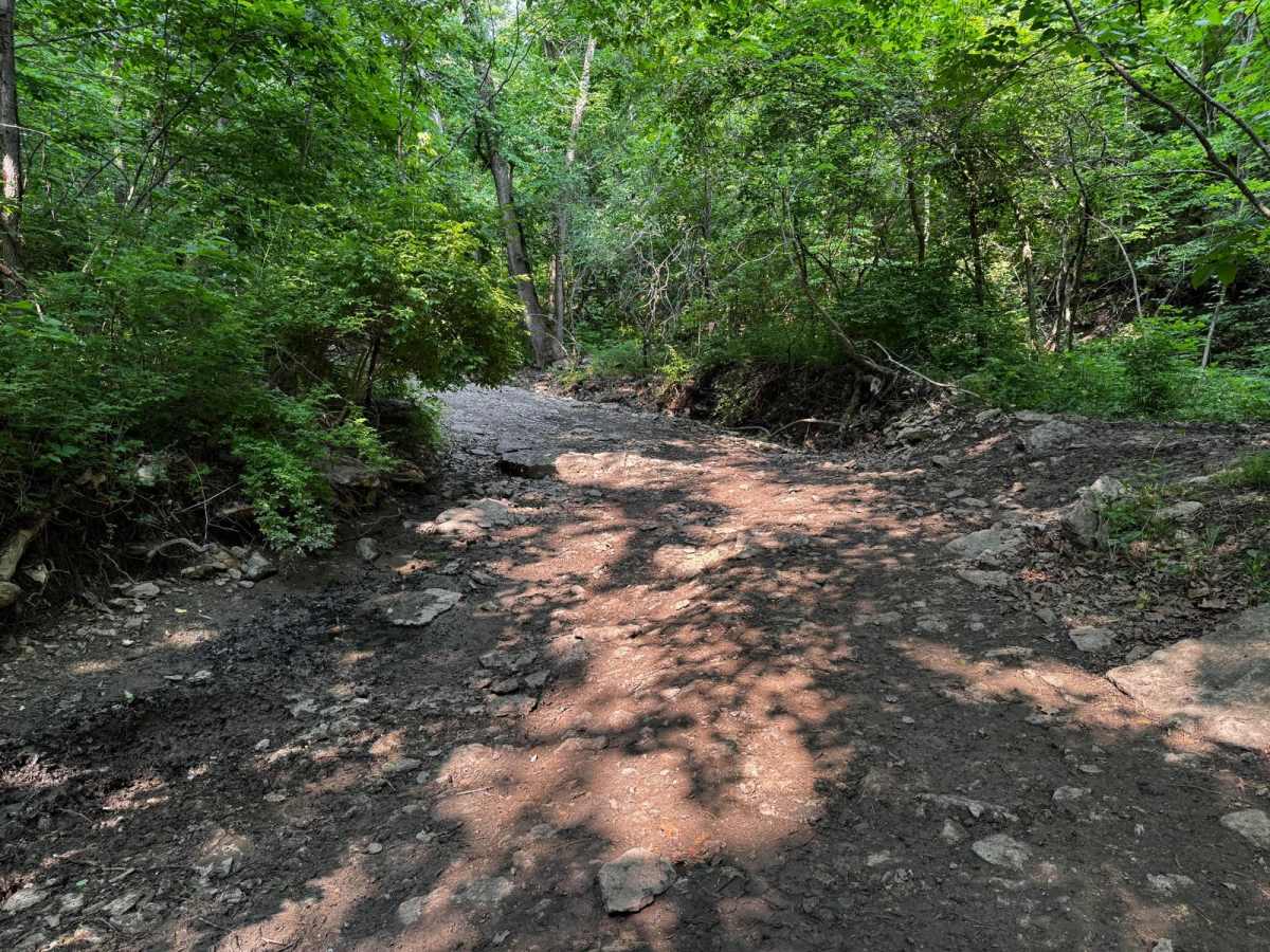 Yellow 130 trail photo