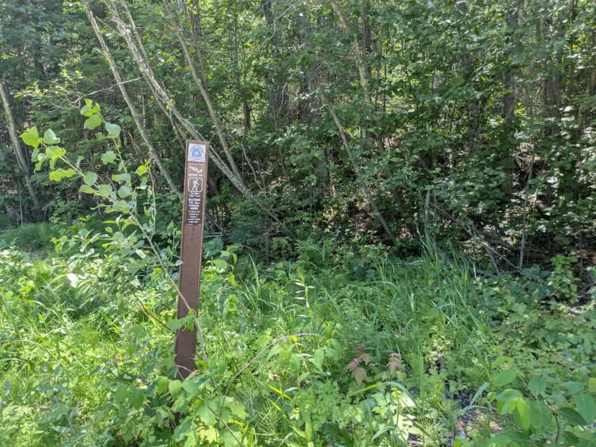 2104 photo 6