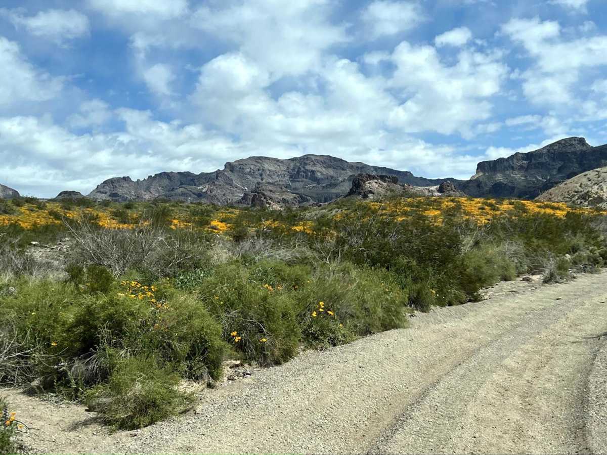Buck Wash to Pass Canyon Connector trail photo