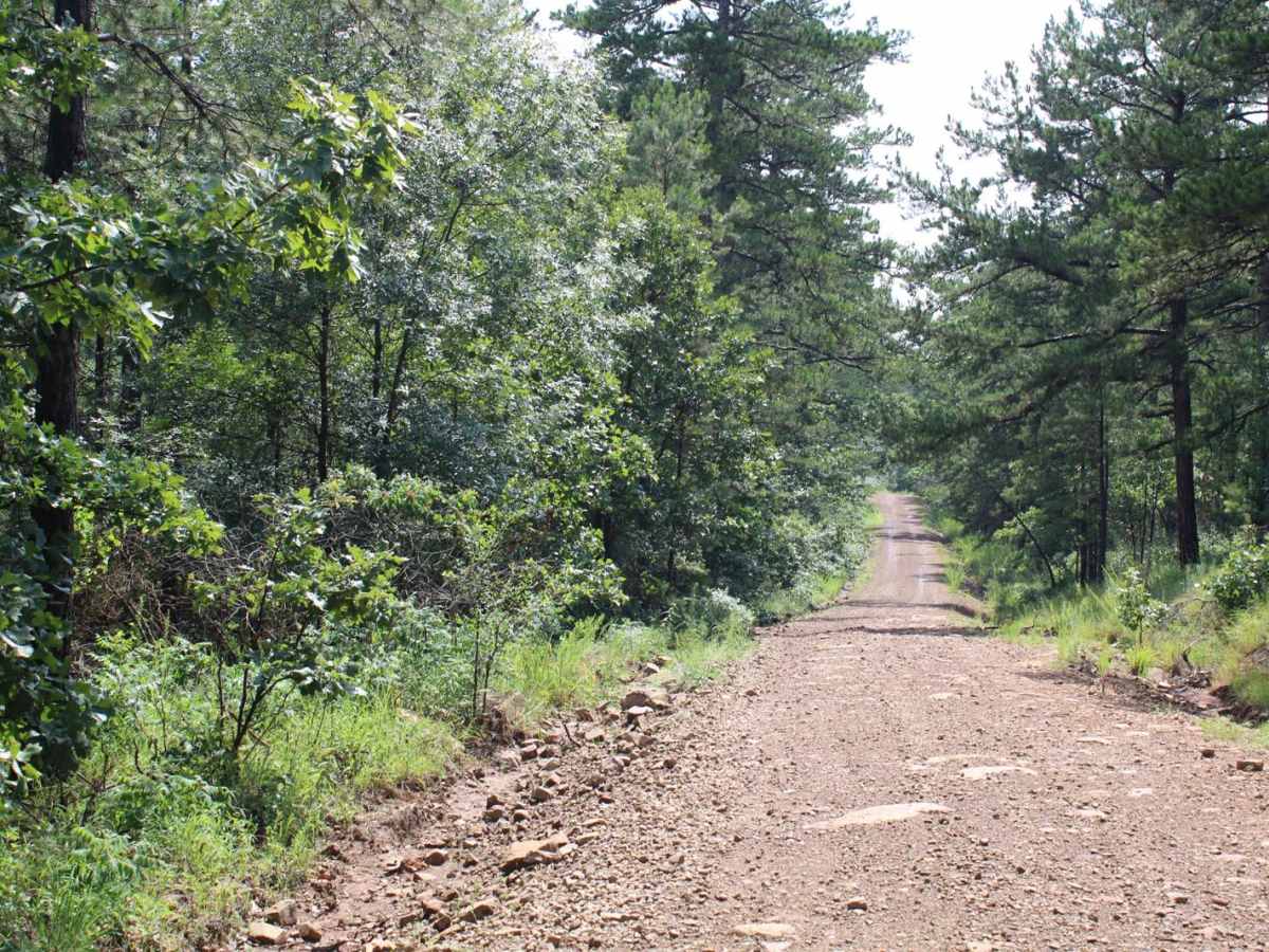 Girard Road to Sugar Creek Multi Use Trails photo 5