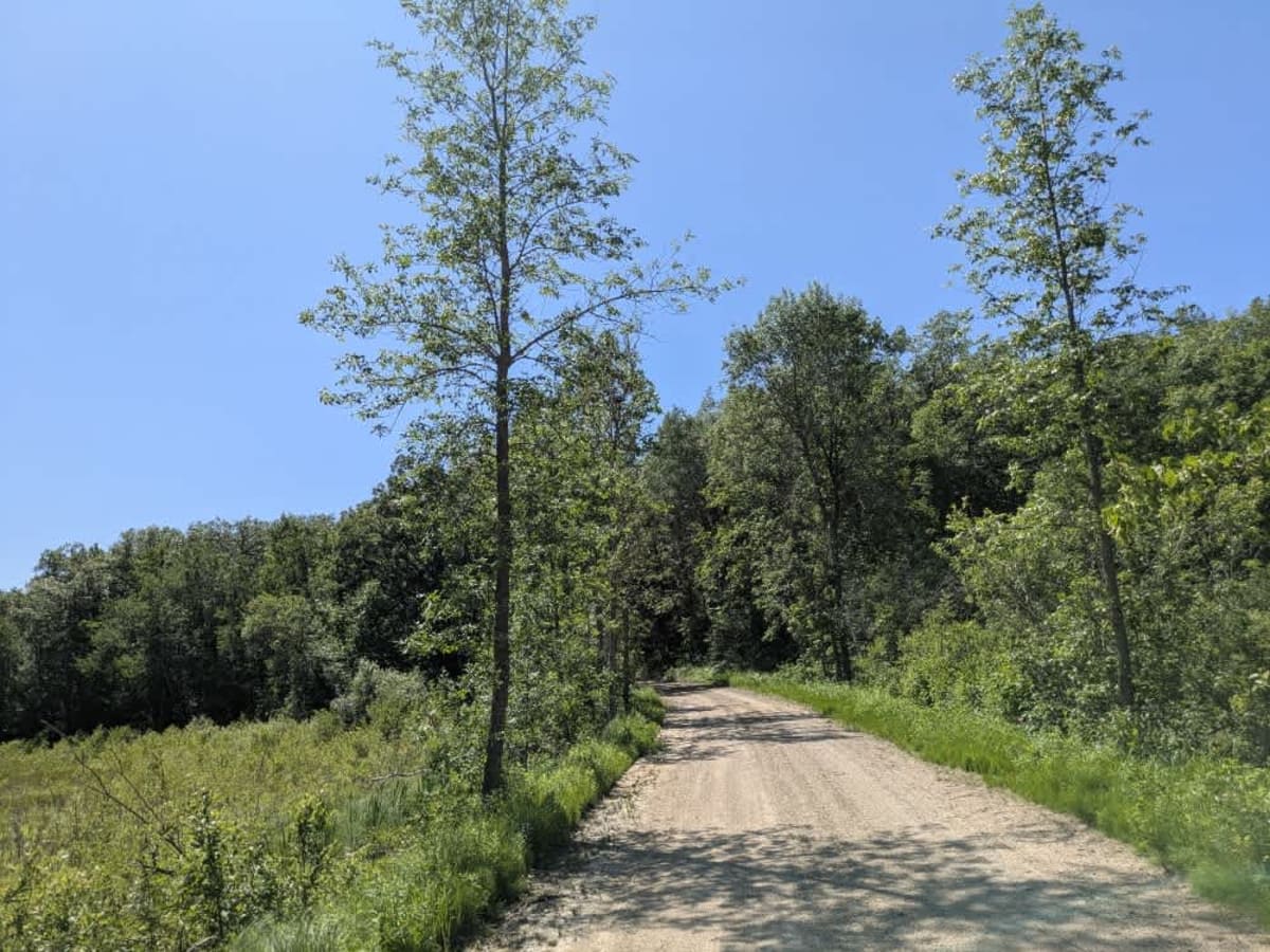 Old Grade Road photo 4