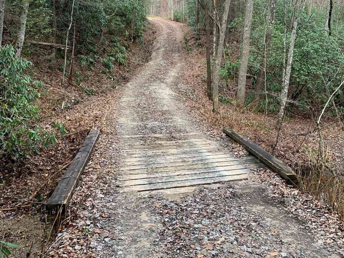 Bandy Creek Trek photo 2
