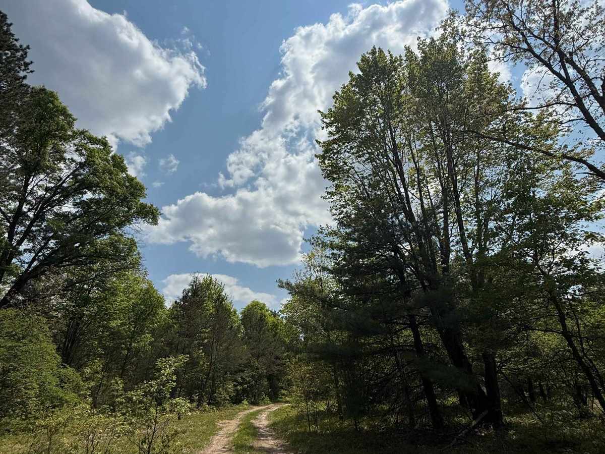 Camp Trail photo 4