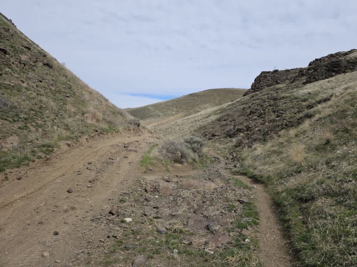 Tumbleweed Ravine photo 6