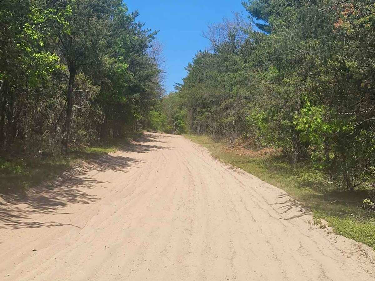 St. Helen ORV Route - North photo 5