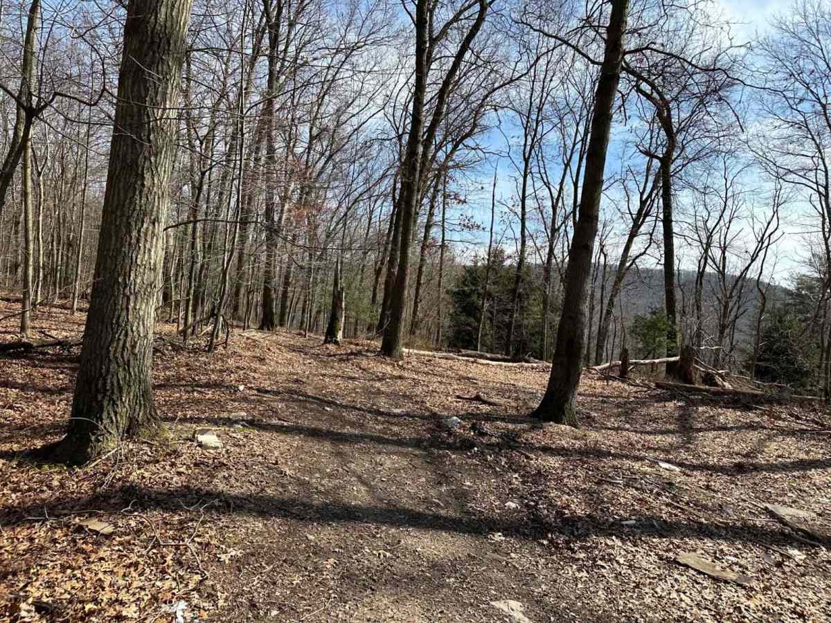 Ashland 98 trail photo