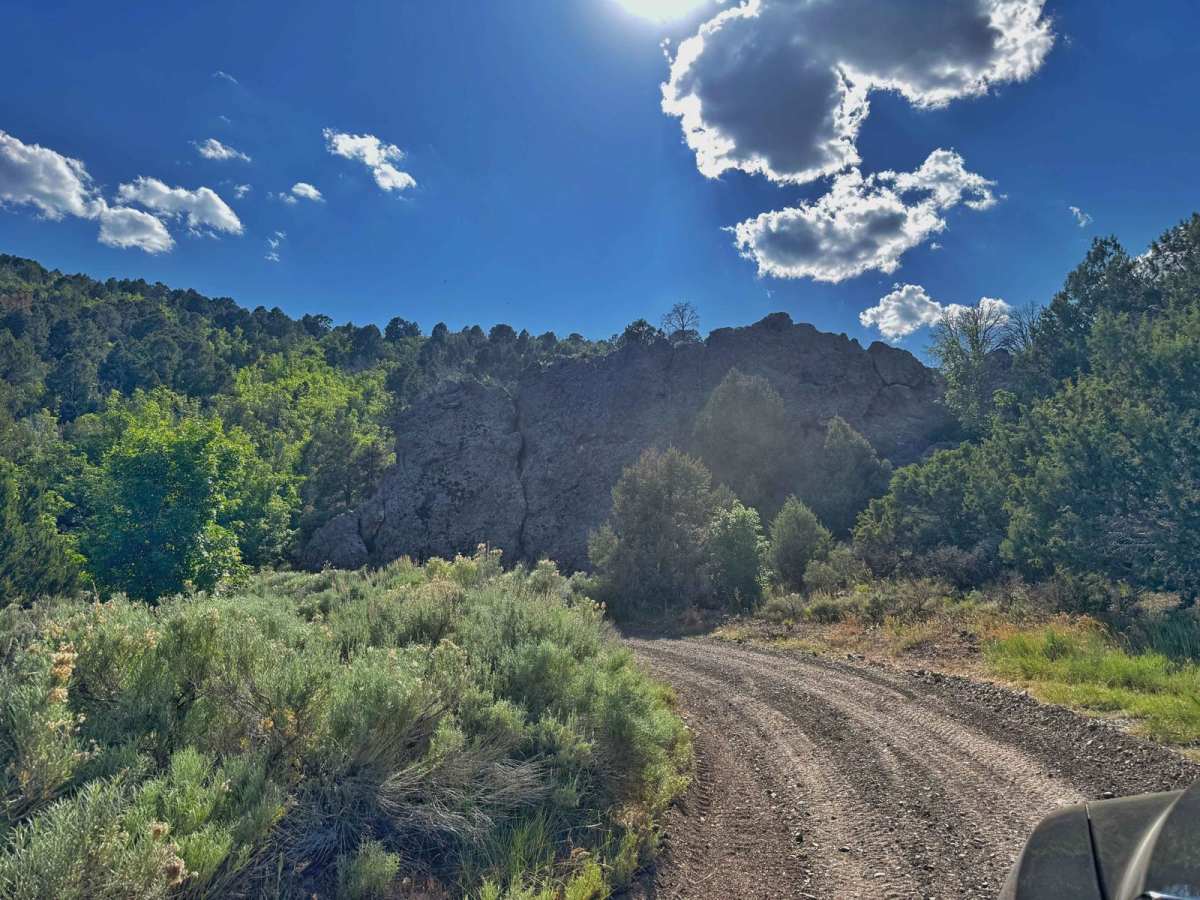 Prospector OHV Backway Complex photo 6